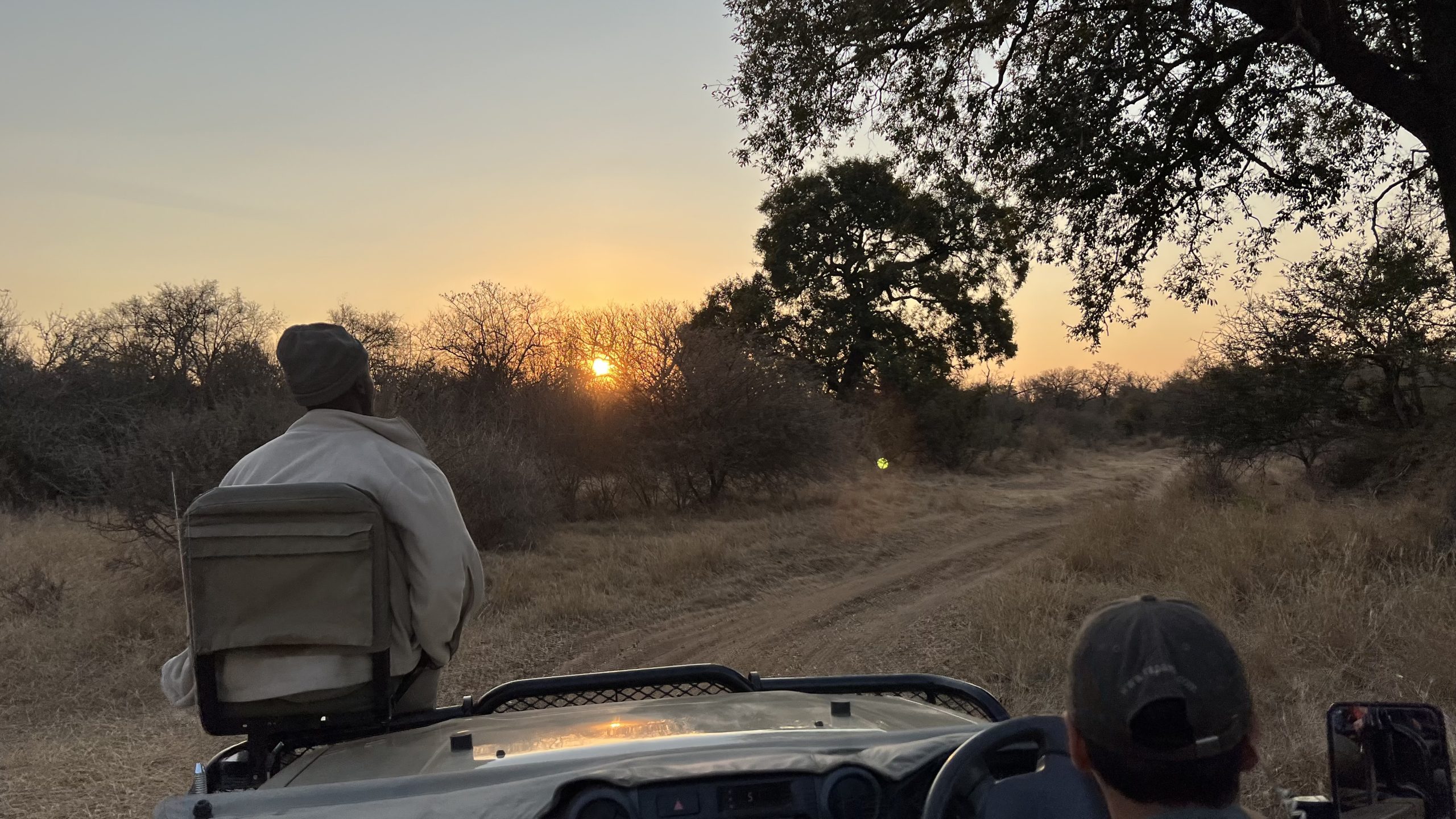 unrise over a South African safari trail with golden light filtering through trees and a 4x4 vehicle in the foreground.