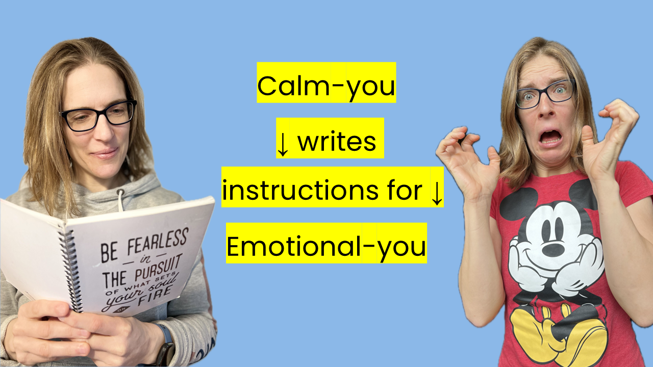 Rebel Finance School diagram showing calm-you writing investment instructions for emotional-you before markets fall